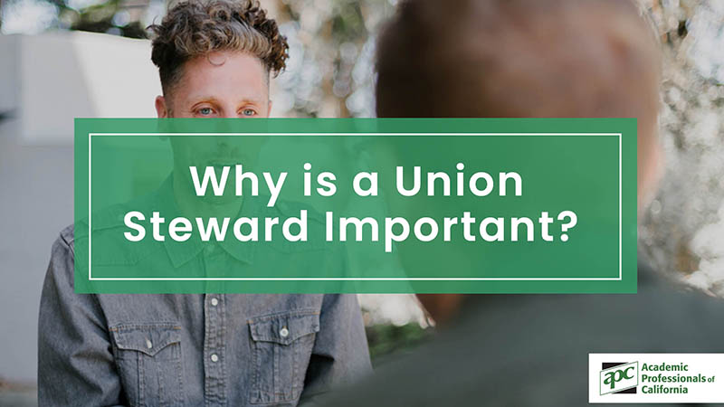 Why is a Union Steward Important