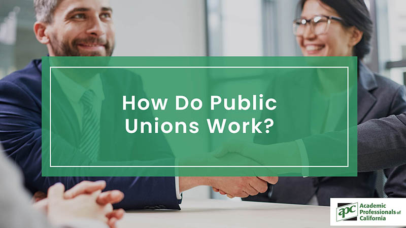 How Do Public Unions Work